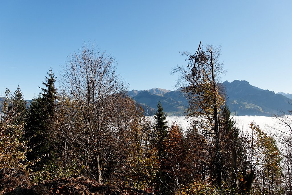 20081026_029